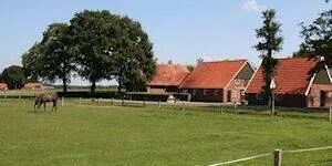 Camping Roderveld