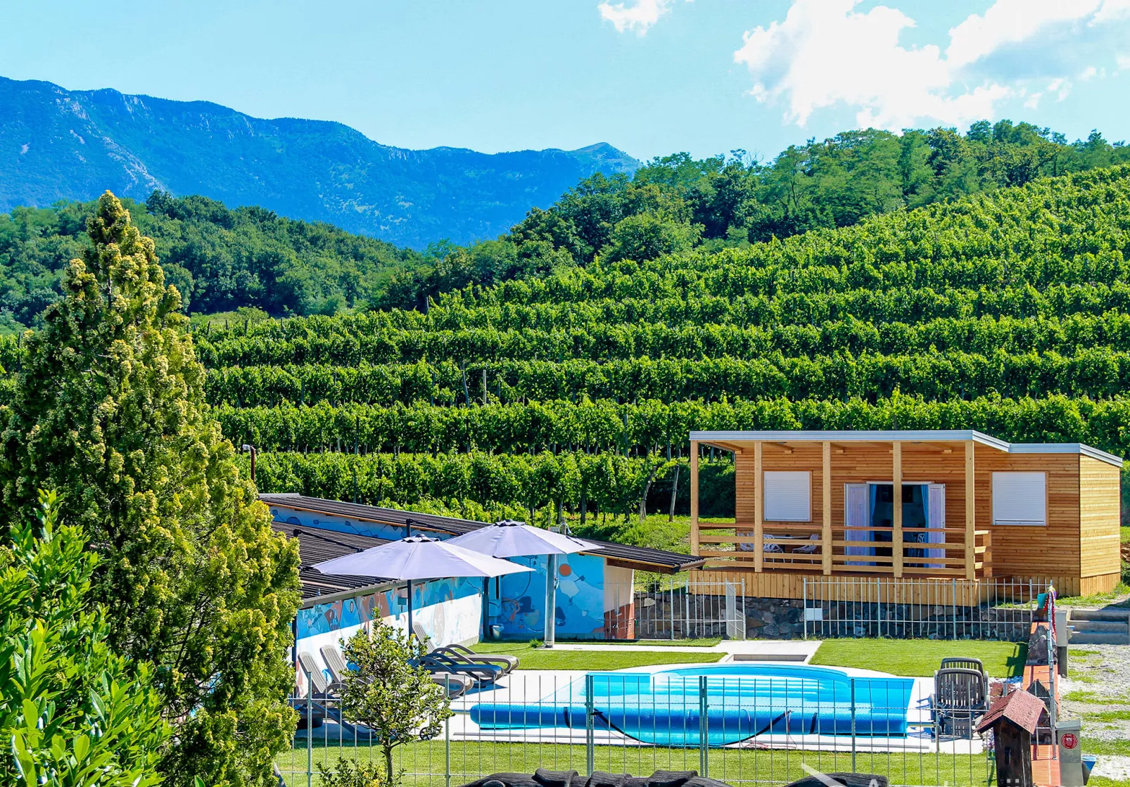 Saksida Wine and Camping Resort 