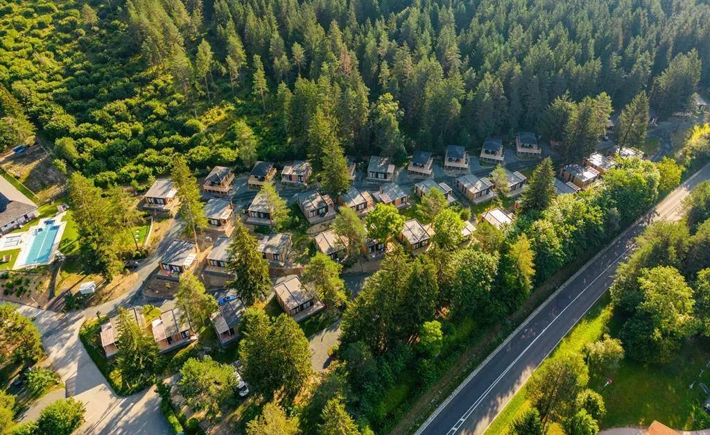 camping omring door bomen langs een weg