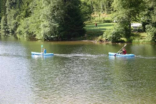 Camping Domaine de Longemer 