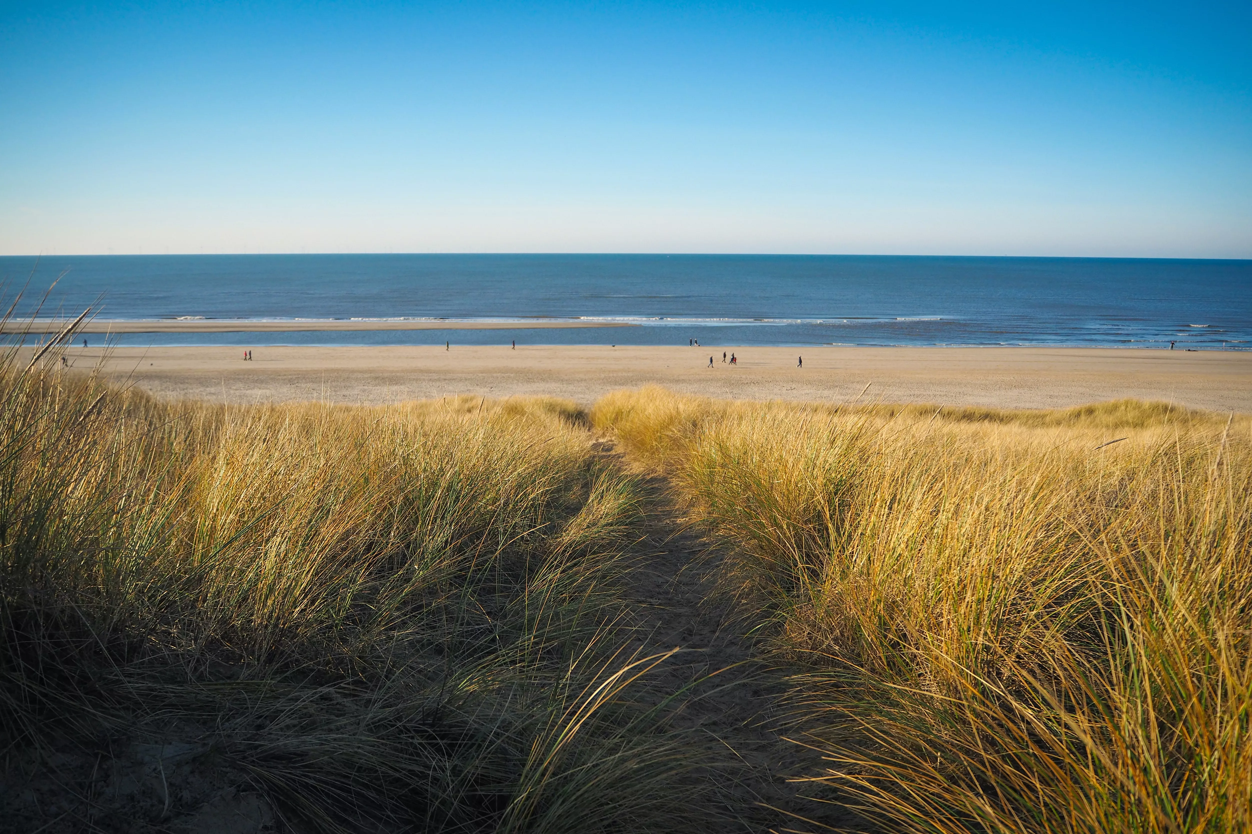 Ontdek de leukste campings van Nederland