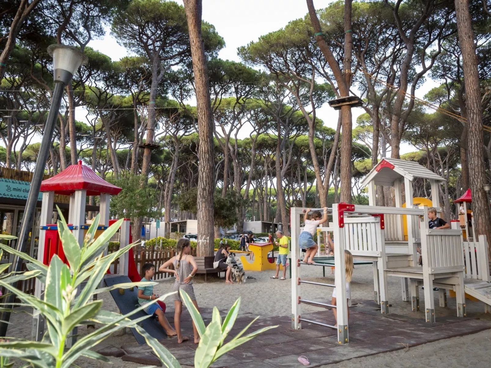 Camping San Francesco -