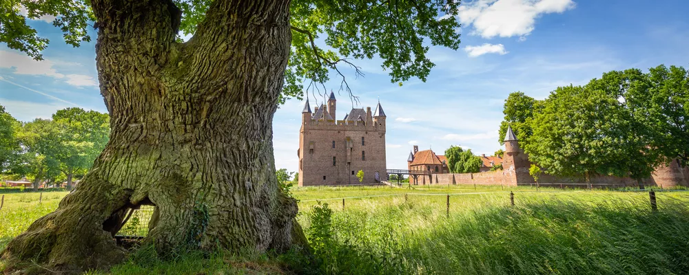 Kasteel Doornenburg in Gelderlands landschap