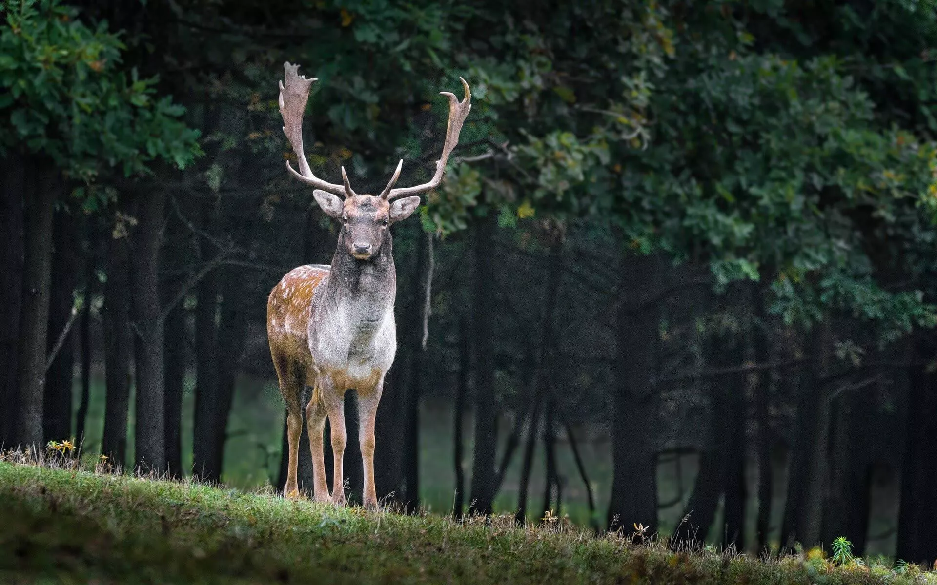 De leukste dingen om te doen in Hoge Veluwe Nationaal Park